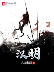 汉明全文免费阅读