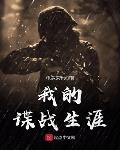 我的谍战生涯简介内容
