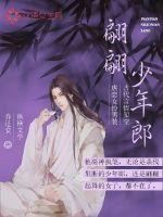歌词翩翩的少年郎