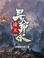 书名凌天小说