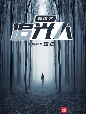 都市之追光人小说免费阅读