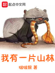 我有一片云歌词