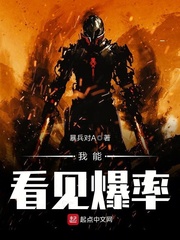 我能看见爆装率 小说