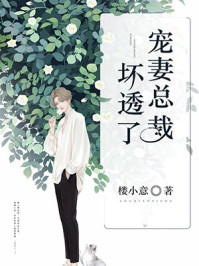 闪婚老公是豪门小说