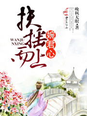 扶摇而上小说叶