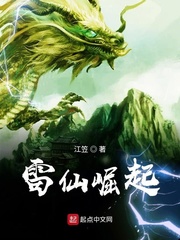 雷仙崛起免费阅读小说