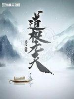 道极无天境界划分