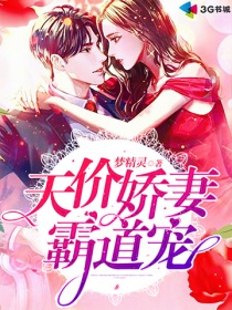天价宠妻免费阅读小说
