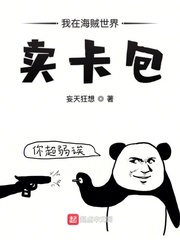 我在海贼世界卖卡包的小说