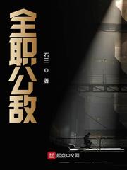 全职公敌吧