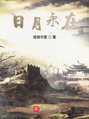 煌煌华夏 小说