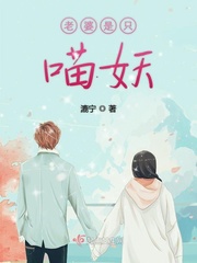 老婆是只仙女喵全文