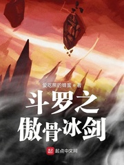 斗罗大陆之傲骨冰剑笔趣阁