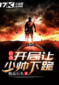 抗战之开局让少帅下跪那个网站