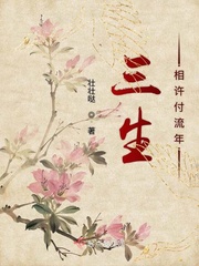 三生相许付流年小说