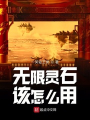 无限灵石该怎么用顶点