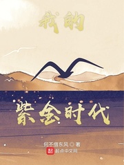 我的紫金时代小说全文免费阅读