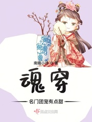 经典魂穿文
