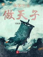 我真不想当夜天子