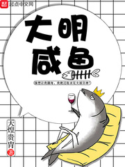 大明优秀青年txt精校