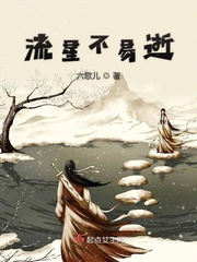 流星不易逝小说免费阅读