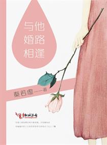 与他婚路相逢小说全集免费下载