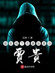 我在地下交通站里当贾贵有声书