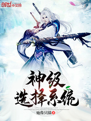 神级选择系统txt下载八零