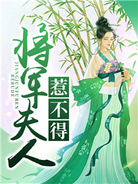 将军纳妾后夫人离开了的小说