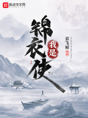 我想看锦衣
