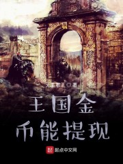 王国金币能体现