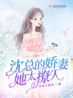 沈总的替身小娇妻小说