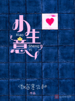 小生意小说全本免费阅读