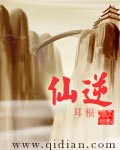 仙逆简介