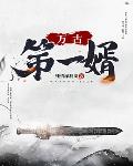 万古第一婿简介