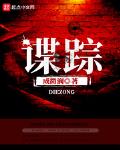 谍踪 顶点小说