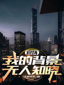 官场故事小说