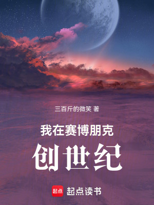 关于我在赛博朋克