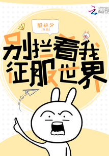 殷辞夕 小说