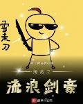 海贼之流浪剑豪 最新章节 无弹窗