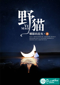 野猫驯养魏承泽小说免费全文结局是什么