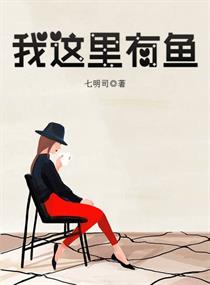 到我这里来小说