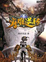 灾难系列小说
